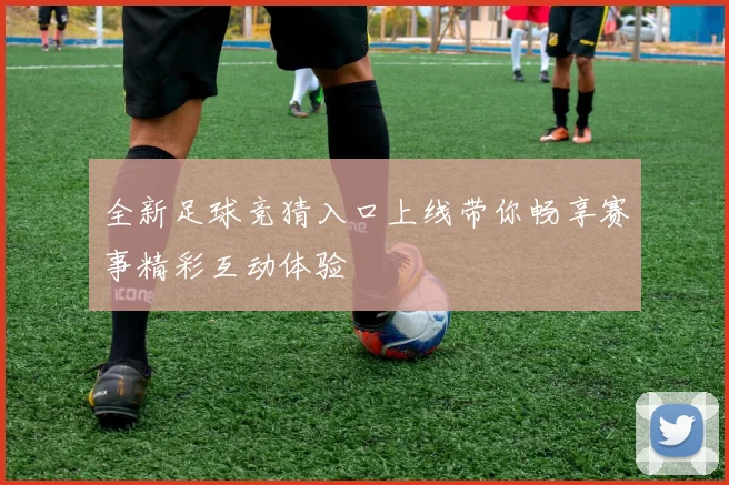 全新足球竞猜入口上线带你畅享赛事精彩互动体验