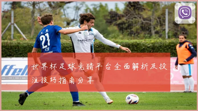 世界杯足球竞猜平台全面解析及投注技巧指南分享