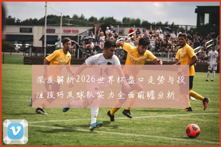 深度解析2026世界杯盘口走势与投注技巧及球队实力全面前瞻分析