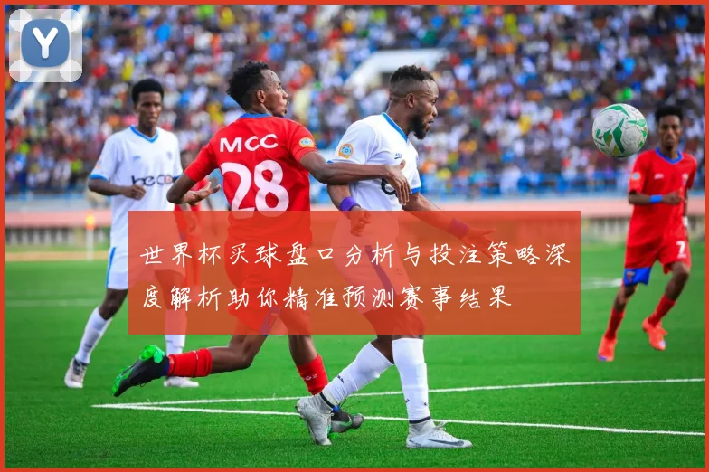 世界杯买球盘口分析与投注策略深度解析助你精准预测赛事结果