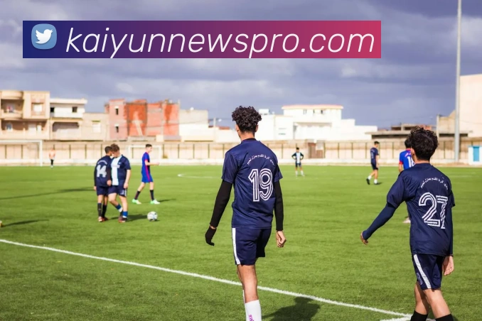 开云平台展示图